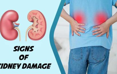 किडनी खराब होने के लक्षण: समय रहते पहचानें ये संकेत, किडनी खराब होने की तरफ करते हैं इशारा