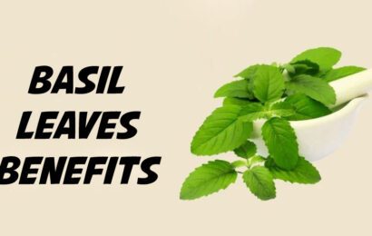 तुलसी के पत्तों के चमत्कारी फायदे: एक प्राकृतिक खजाना